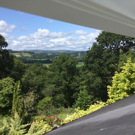 Dwynant - A Room With A View Llangathen ภายนอก รูปภาพ