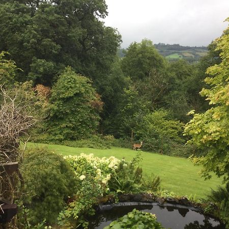Dwynant - A Room With A View Llangathen ภายนอก รูปภาพ