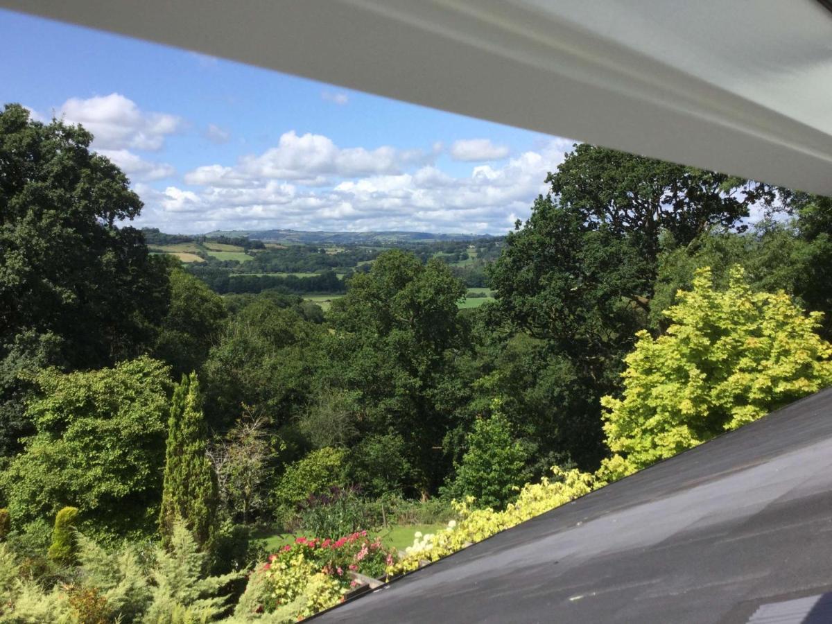 Dwynant - A Room With A View Llangathen ภายนอก รูปภาพ