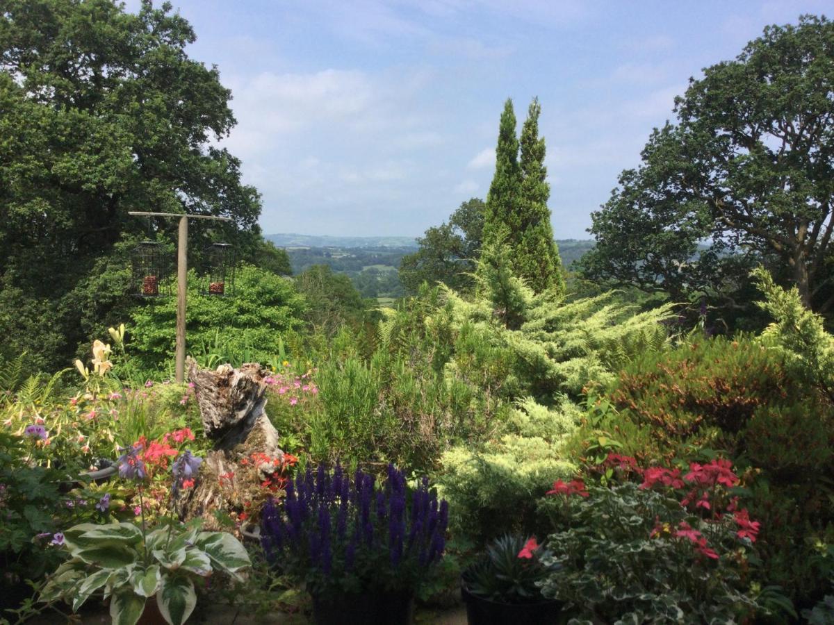 Dwynant - A Room With A View Llangathen ภายนอก รูปภาพ