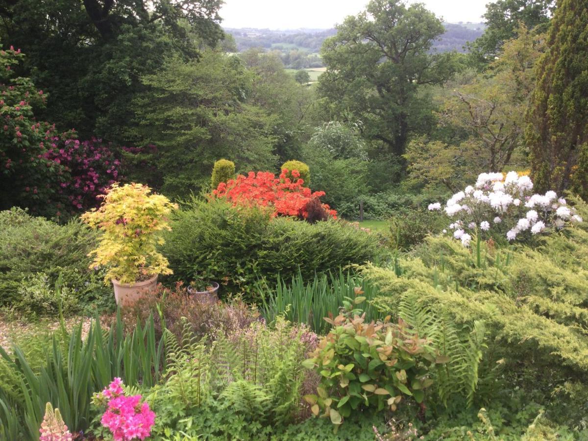 Dwynant - A Room With A View Llangathen ภายนอก รูปภาพ