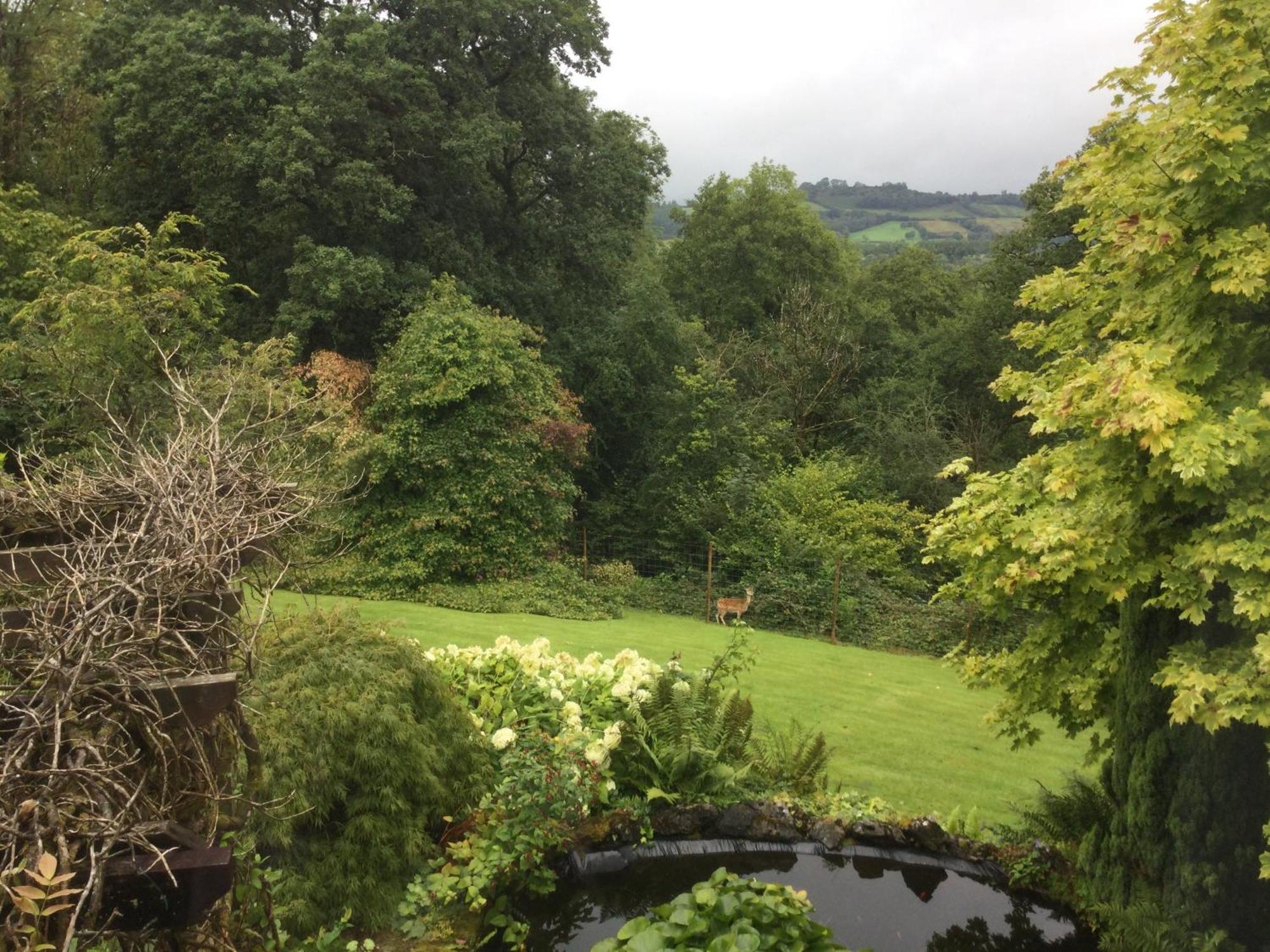 Dwynant - A Room With A View Llangathen ภายนอก รูปภาพ